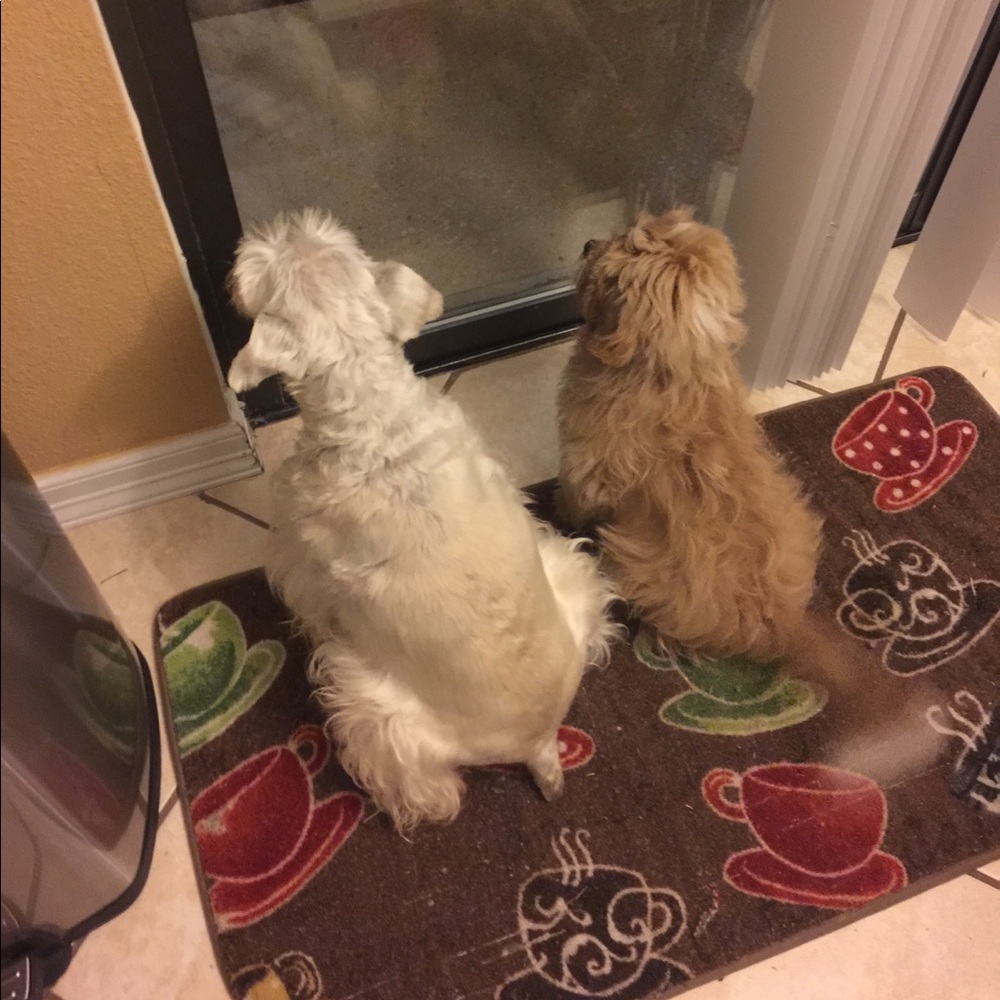 Meet your Posher, Jeanette